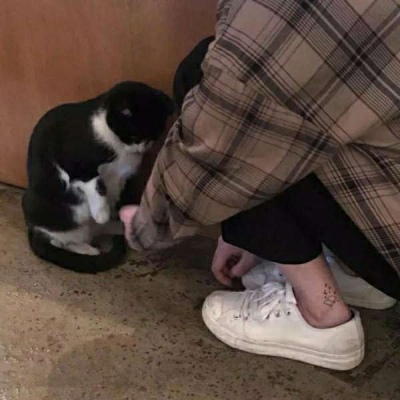 草图大师2中国宝马招聘官网入口024新功能介绍截图2