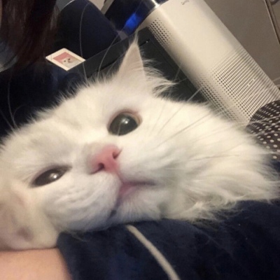 PUBG MOBILE 地铁逃生12博官网12BetChapter 25今日开启!踏入金沙王朝遗迹,寻找失落宝藏!截图3